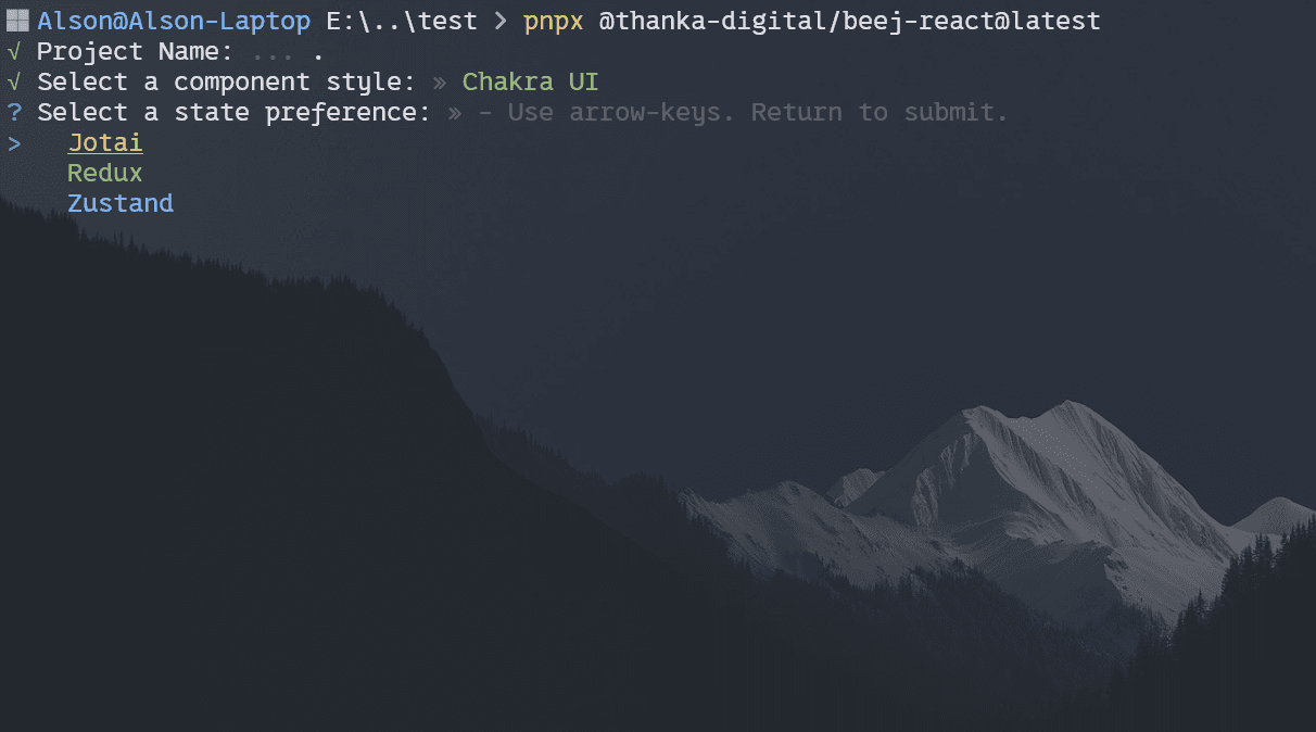 Terminal interface executing the beej package scaffolding command